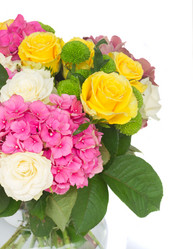 Similar image 8201520