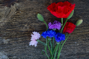 Similar image 8201522