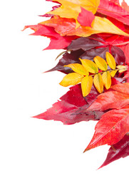 Similar image 8201525