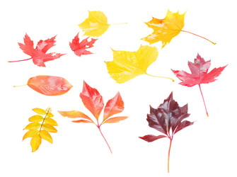 Similar image 8201526