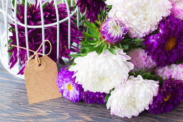 Similar image 8201529