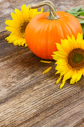 Similar image 8201533