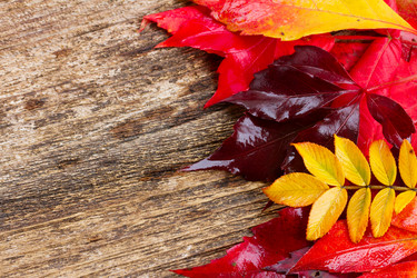 Similar image 8201534