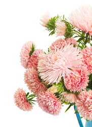 Similar image 8201540