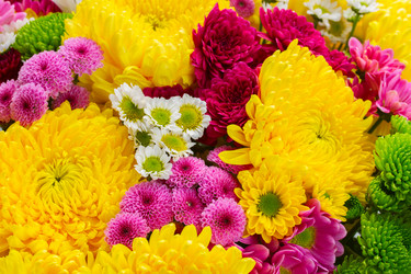 Similar image 8201541