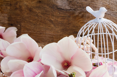 Similar image 8201558