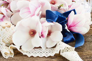 Similar image 8201559