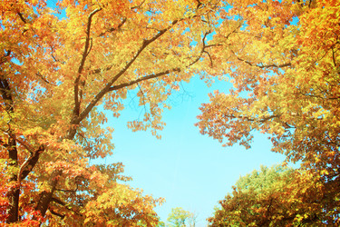 Similar image 8201564