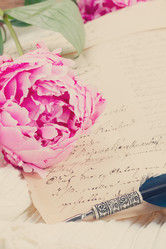 Similar image 8201573