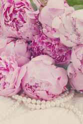 Similar image 8201574