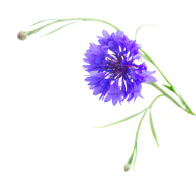 Similar image 8201589