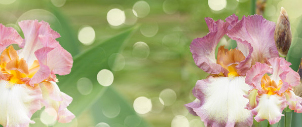 Similar image 8201596