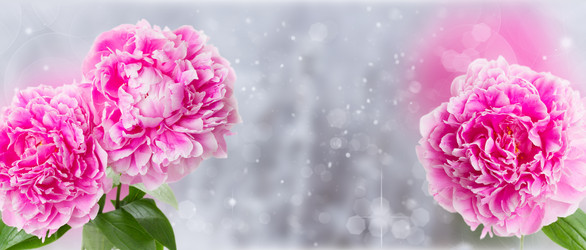 Similar image 8201598