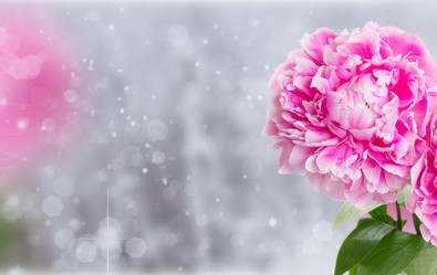 Similar image 8201599