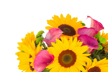 Similar image 8201608