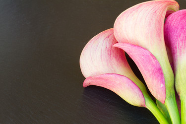 Similar image 8201612