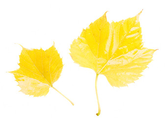 Similar image 8201613