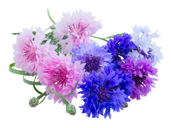 Similar image 8201624