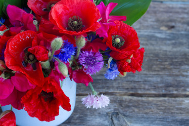 Similar image 8201630