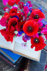 Similar image 8201632