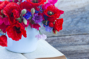 Similar image 8201636