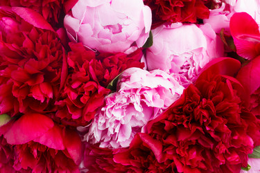 Similar image 8201638