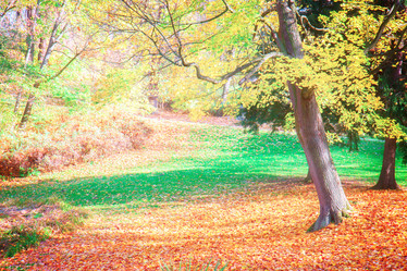 Similar image 8201648