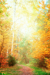 Similar image 8201649