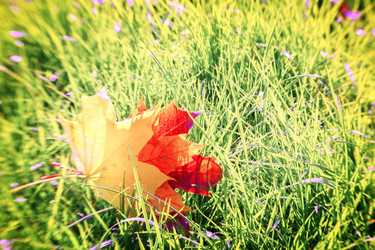 Similar image 8201650