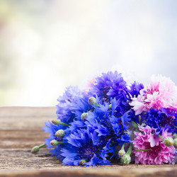 Similar image 8201666