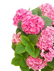 Similar image 8201669