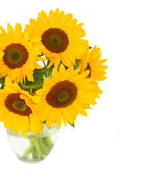 Similar image 8201672