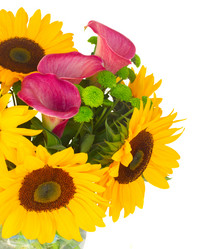 Similar image 8201683