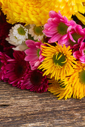 Similar image 8201685