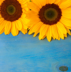 Similar image 8201690