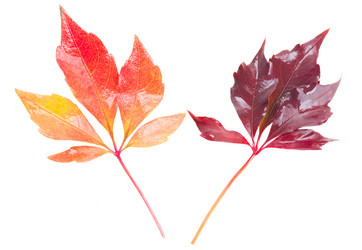 Similar image 8201689