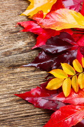 Similar image 8201691