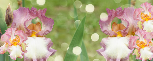 Similar image 8201702