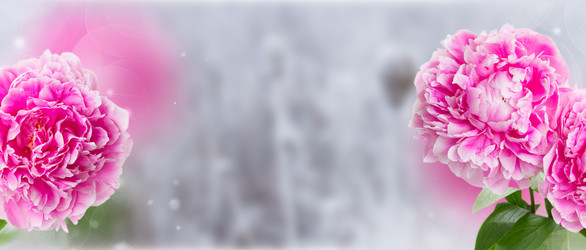 Similar image 8201703