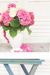 Similar image 8201716