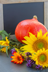 Similar image 8201719