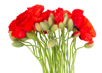 Similar image 8201725