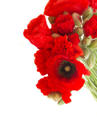 Similar image 8201726