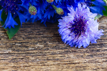 Similar image 8201733