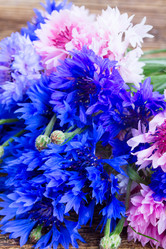 Similar image 8201734