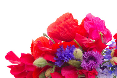 Similar image 8201739