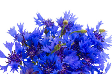 Similar image 8201741