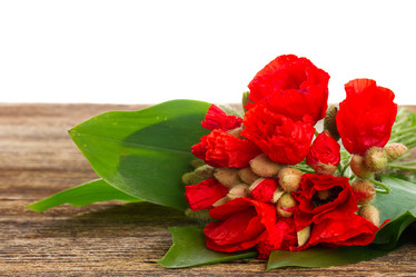 Similar image 8201742