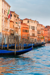 Similar image 8201753