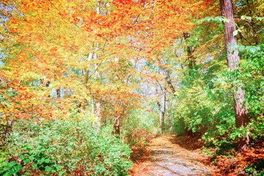 Similar image 8201763